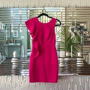 Hot Pink Gianni Bini Dress